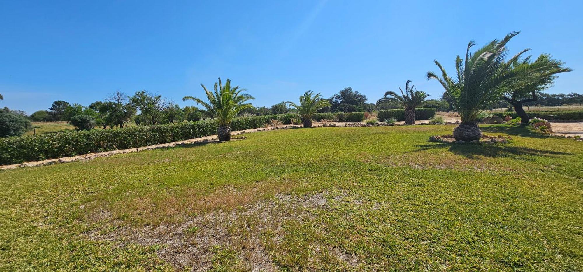 Vila Quinta Do Lagar Albufeira Exteriér fotografie