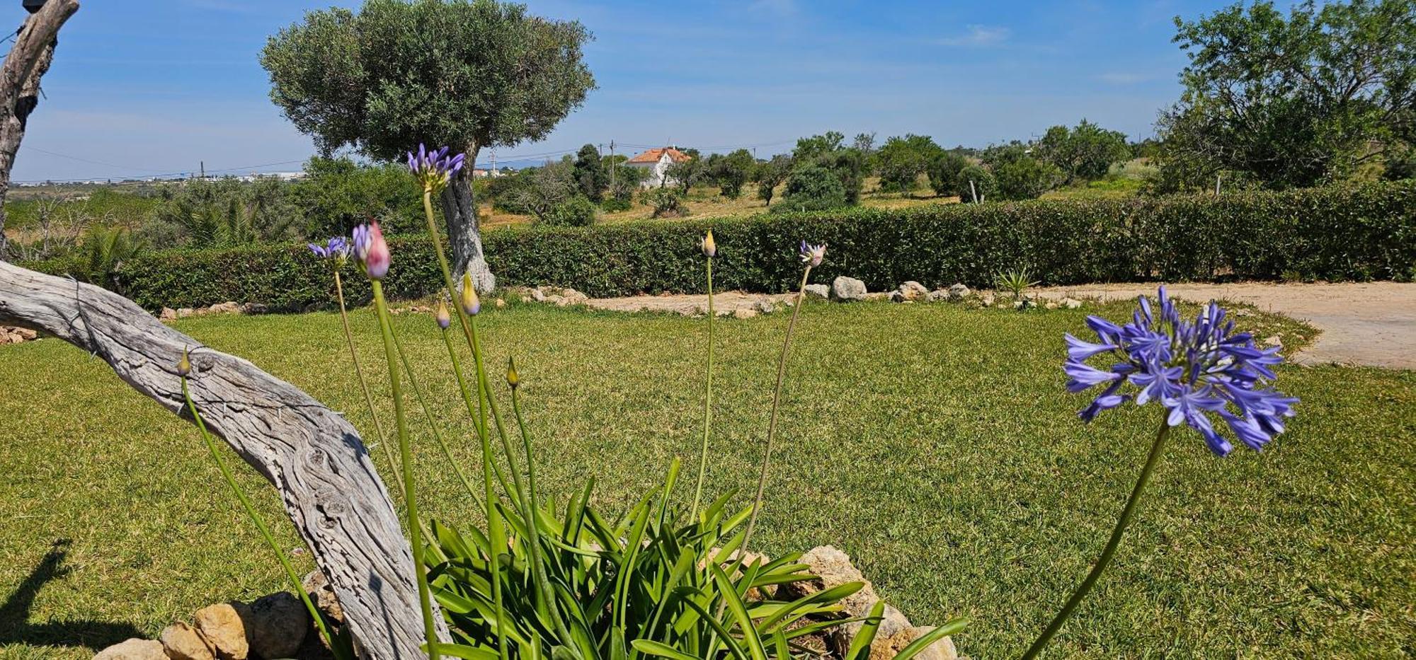 Vila Quinta Do Lagar Albufeira Exteriér fotografie